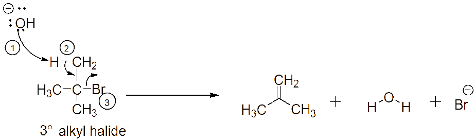Ochem Tutor E2 mechanism showing simultaneous proton abstraction, rehybridization, and leaving group departure