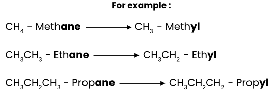 organic chemistry notes