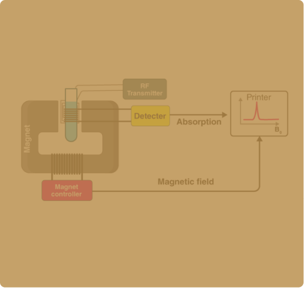 NMR Spectroscopy